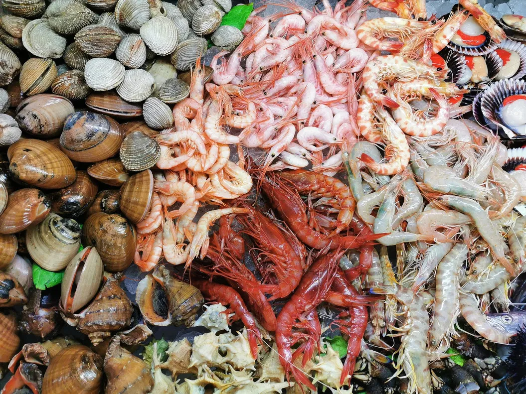 Shellfish